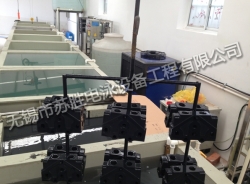 液壓件自行葫蘆電泳線(xiàn)
